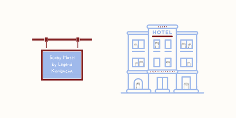 Scoby Hotel by Legend Kombucha