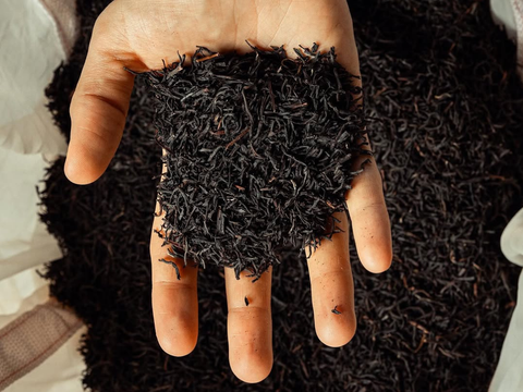 La Kombucha: Cos’è, Da Dove Viene e Perché Fa Bene